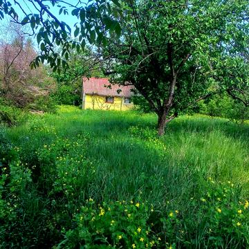 Підгірці, Обухівський, Київська область 64000.0 USD