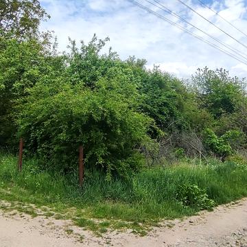 Лезневе, Хмельницький, Хмельницька область 6000.0 USD