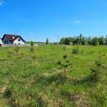 Петрушки, Бучанський, Київська область 21700.0 USD