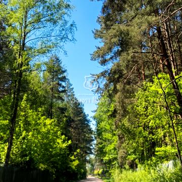 Жовтнева, 8