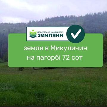 Микуличин, Надвірнянський, Івано-Франківська область 95000.0 USD