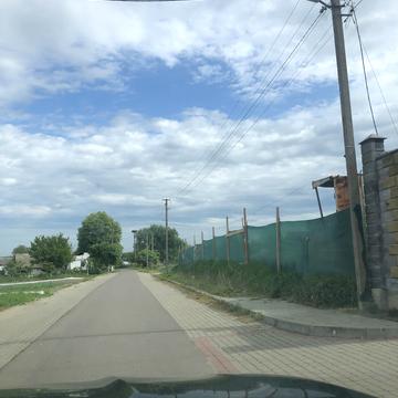 Зелена