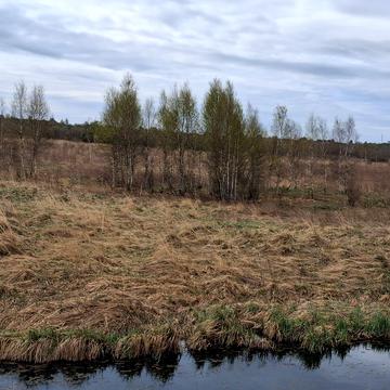 Бірки, Яворівський, Львівська область 18000.0 USD