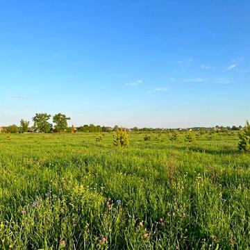 Микуличі, Бучанський, Київська область 10000.0 USD