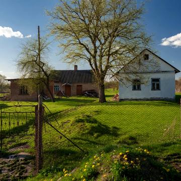 Зелена