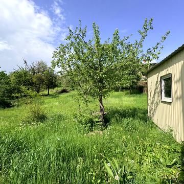СТ Мрія
