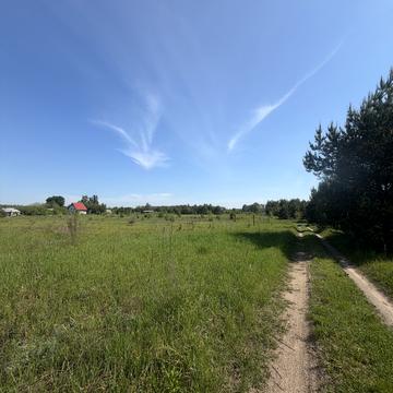 Новоселецька