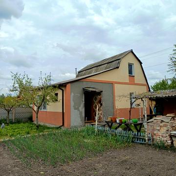 Виноградна