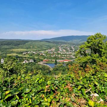 Камяниця, Ужгородський, Закарпатська область 30000.0 USD