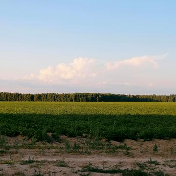 Забіря, Фастівський, Київська область 30000.0 USD