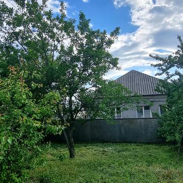 Антарктична вул.