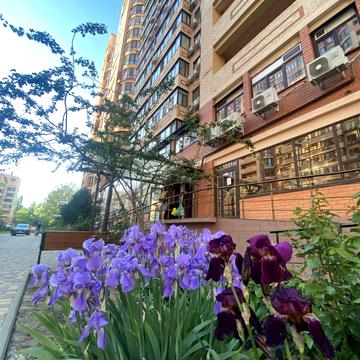 Незалежності вул., 8г