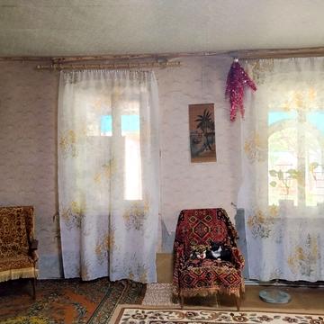 Червоний пров.