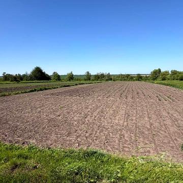 Кудринці, Хмельницький, Хмельницька область 8000.0 USD