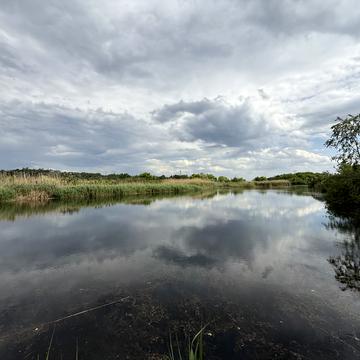 Прибережна вул.