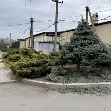 Лютеранська вул. (Вавілова)