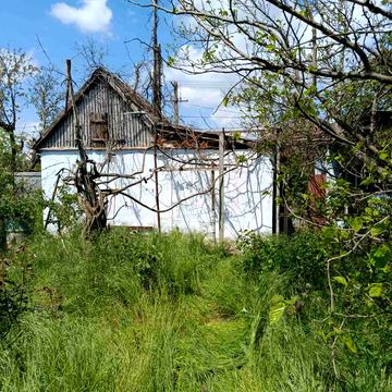 Центральная