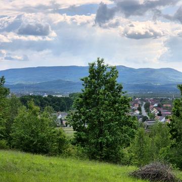 Тячів, Тячівський, Закарпатська область 21000.0 USD