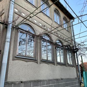 Королева Академика
