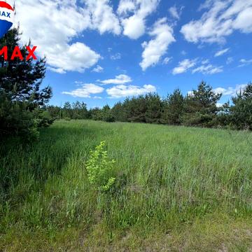 Плесецьке, Фастівський, Київська область 17000.0 USD