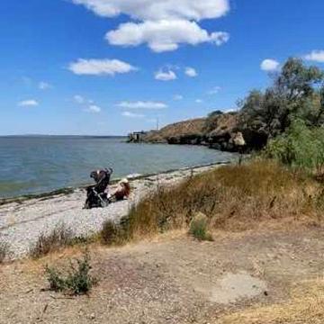 Овідіополь, Одеський, Одеська область 6000.0 USD