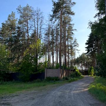 Блиставиця, Бучанський, Київська область 22500.0 USD