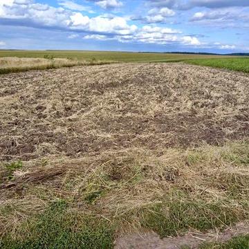 Острів, Тернопільський, Тернопільська область 18000.0 USD