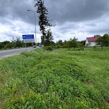 Липники, Львівський, Львівська область 3000.0 USD