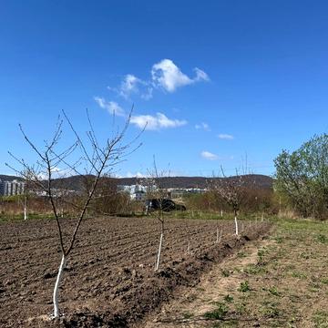 Міська рада, Винники, Львівський, Львівська область 15000.0 USD