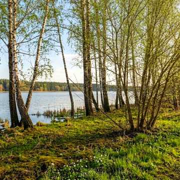 Забір'я, Фастівський, Київська область 220000.0 USD