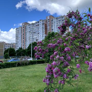 Костянтина Данькевича вул., 7