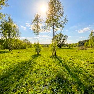 Козинці, Бучанський, Київська область 4500.0 USD