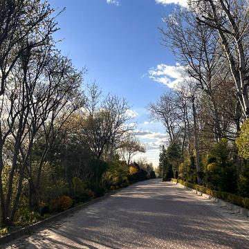 Брюховичі, Львівський, Львівська область 442500.0 USD
