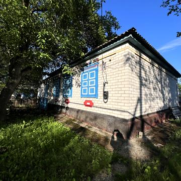 Центральна