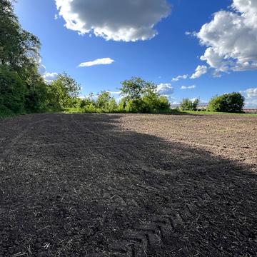 Романове Село, Тернопільський, Тернопільська область 15000.0 USD