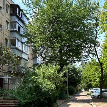 Симона Петлюри вул. (), 18б