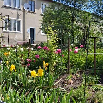 Київська вул. (107-ї Кременецької Дивізії), 49
