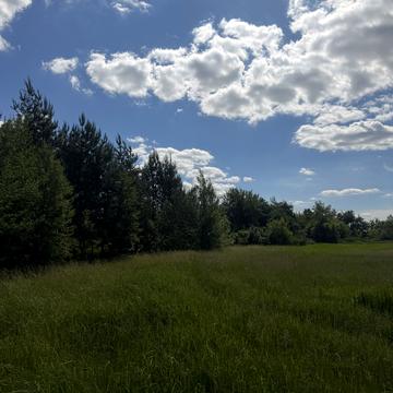 Лісова, 1
