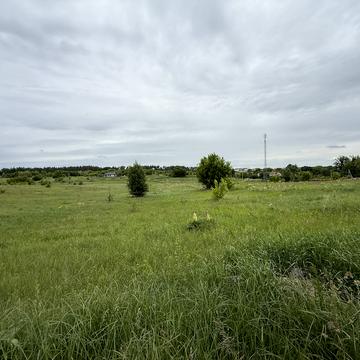 Наталії Ужвій