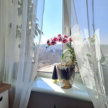 Борова вул., 47