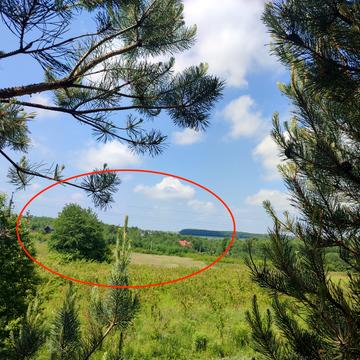 Деревач, Львівський, Львівська область 25000.0 USD