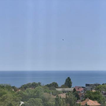 Французький бульв., 22/2