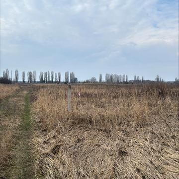 Петропавлівське (Петровське), Бориспільський, Київська область 306000.0 USD