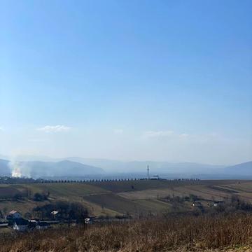 Ластівці, Івано-Франківський, Івано-Франківська область 85000.0 USD