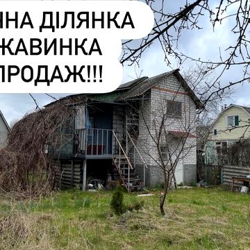 Роднік