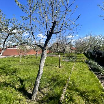 Рожни, Броварський, Київська область 118000.0 USD