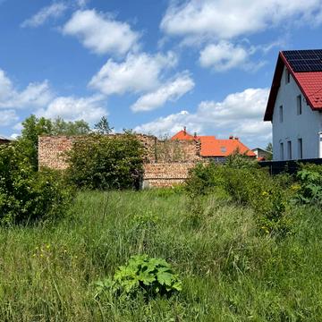 Польова