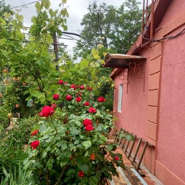 Головна