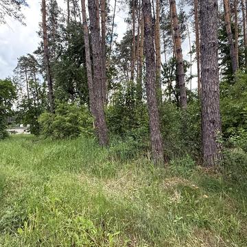 Мощун, Бучанський, Київська область 95000.0 USD
