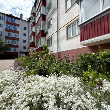 Центральна вул., 70
